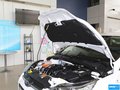福克斯 图片