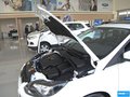 福克斯 图片