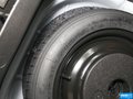 福克斯 图片