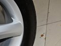 野馬F12 1.5L 手動 5座 2012款圖片
