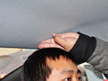 朗動 1.6L 手動 時尚型 2012款圖片
