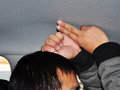 朗動(dòng) 1.6L 手動(dòng) 時(shí)尚型 2012款圖片