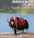 奥轩G5 图片