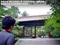 翼神 图片