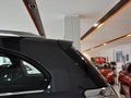 科帕奇 科帕奇 2.4L AT 豪华导航版 7座 2012款图片