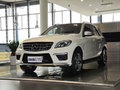 奔驰M级AMG 2012款 5.5T AMG 5座图片