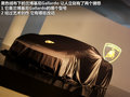 Gallardo 圖片