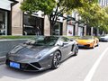Gallardo 2012款 LP560-4图片