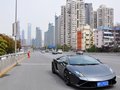 Gallardo 2012款 LP560-4图片
