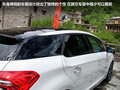 DS 5(进口) 图片