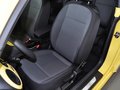 甲殼蟲 甲殼蟲 1.2TSI 時(shí)尚型 2013款圖片