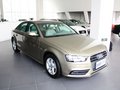 奥迪A4L 奥迪A4L 35TFSI AT 标准型 2013款图片