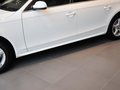 奥迪A4L 奥迪A4L 35TFSI AT 舒适型 2013款图片