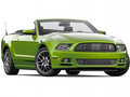 Mustang 2013款 野马图片