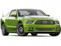 Mustang 2013款 野马图片