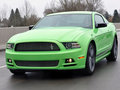 Mustang 2013款 野馬圖片