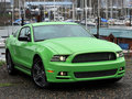 Mustang 2013款 野馬圖片