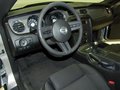 Mustang 2012款 野马 GT图片
