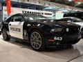 Mustang 2012款 野马 GT图片