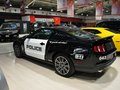 Mustang 2012款 野马 GT图片