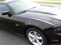 Mustang 2012款 野马 GT图片