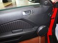 Mustang 野马 GT500 MT 豪华型 2012款图片