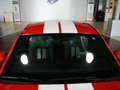 Mustang 野馬 GT500 MT 豪華型 2012款圖片