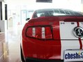 Mustang 野马 GT500 MT 豪华型 2012款图片