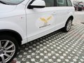 奥迪Q7 奥迪Q7 2013款 35 TFSI 专享型图片