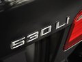 宝马5系 2013款 530Li 3.0L AT 领先型图片