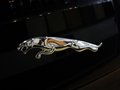 捷豹XJ XJL 2.0T AT 2013款圖片