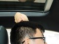 奥迪RS5 奥迪RS5 Coupe 2012款图片