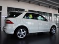 奔驰M级 2012款 ML300图片