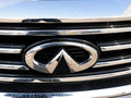 英菲尼迪QX60(进口) 2013款 英菲尼迪JX图片
