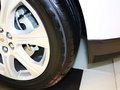 凱迪拉克SRX 凱迪拉克SRX 3.0 AT 舒適型 2013款圖片