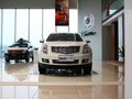 凯迪拉克SRX 凯迪拉克SRX 3.0 AT 舒适型 2013款图片