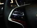 凱迪拉克SRX 凱迪拉克SRX 3.0 AT 舒適型 2013款圖片