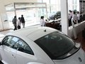 甲壳虫 2013款 甲壳虫 1.4TSI 时尚型图片