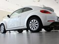 甲殼蟲 2013款 甲殼蟲 1.4TSI 時(shí)尚型圖片