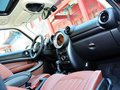 MINI PACEMAN 2013款 PACEMAN COOPER图片