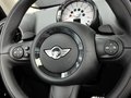 MINI PACEMAN 2013款 MINI PACEMAN 1.6T AT COOPER S ALL 4座图片