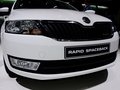Rapid 两厢基本型2014款