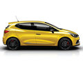 Lutecia 2013款 Clio图片