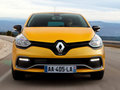 Lutecia 2013款 Clio