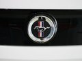 Mustang 野馬 2013款圖片