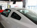 Mustang 野馬 2013款圖片