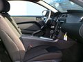 Mustang 野馬 2013款圖片