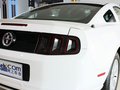 Mustang 野馬 2013款圖片