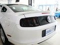 Mustang 野马 2013款图片