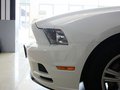 Mustang 野馬 2013款圖片
